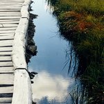 Krkonoše - rašeliniště